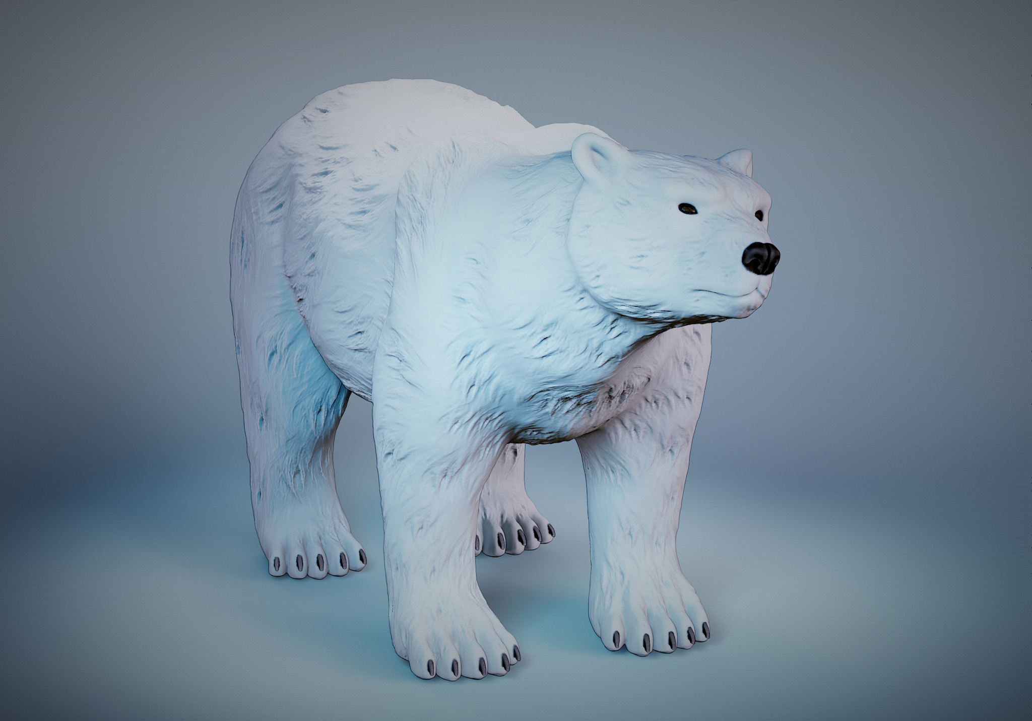 PolarBear_03